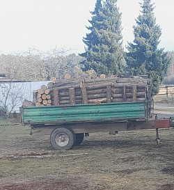 Brennholz